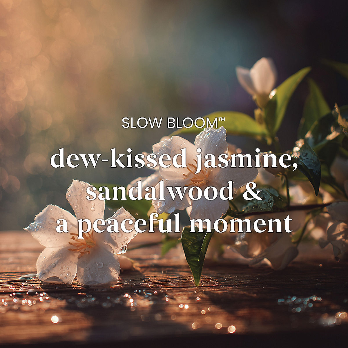 Slow Bloom Large Tumbler Candle - US 79018