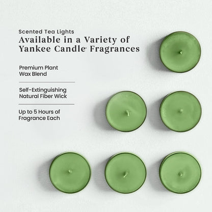 Mistletoe™ Scented Tea Light Candles - US 94543