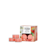 White Strawberry Bellini Scented Tea Light Candles - US 04269