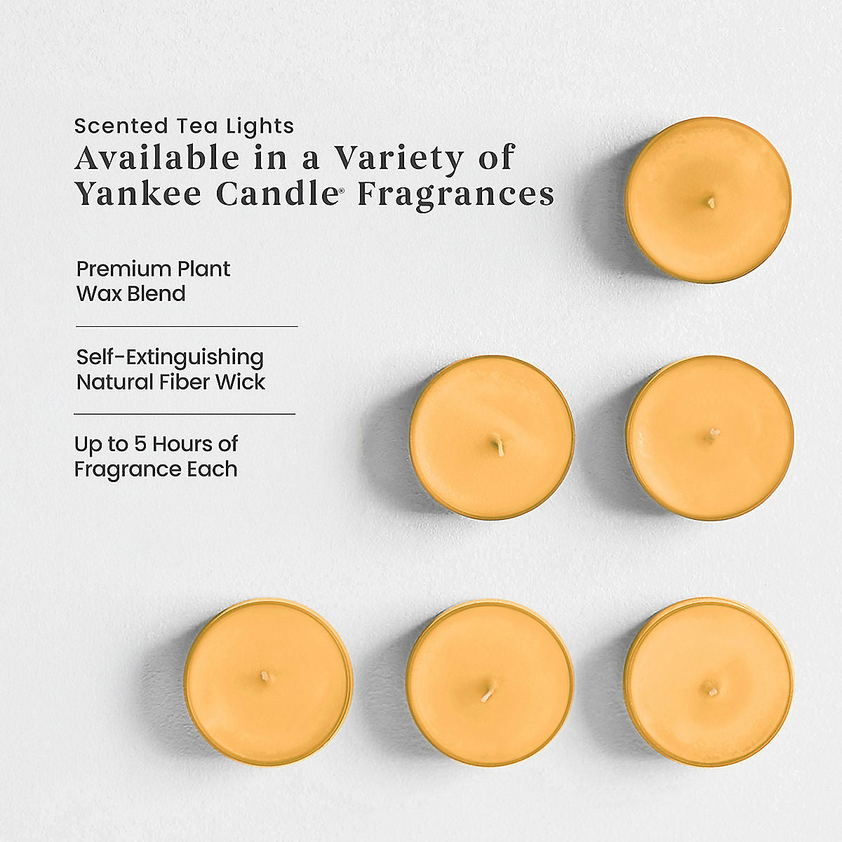 Harvest® Scented Tea Light Candles - US 54378