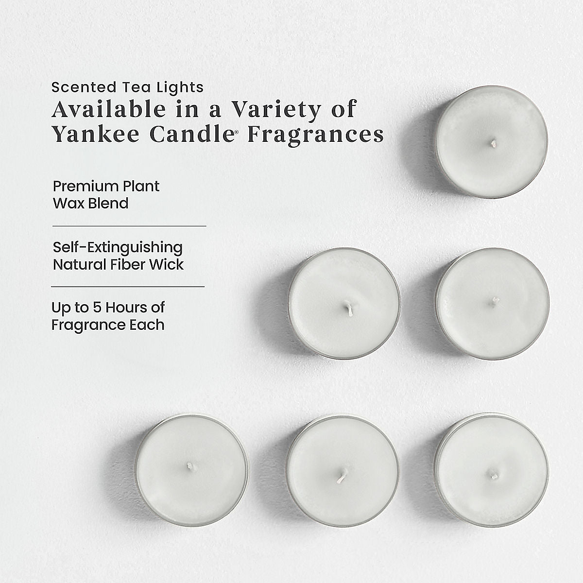 Sparkling Snow™ Scented Tea Light Candles - US 71655