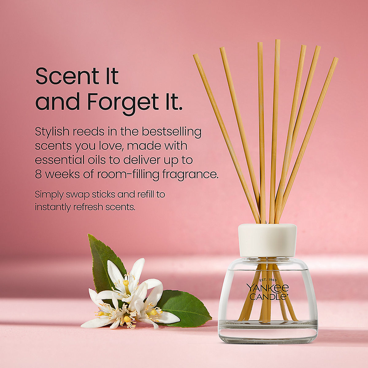 Pink Sands™ Reed Diffuser Kit - US 24096