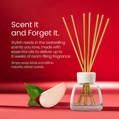 Macintosh Reed Diffuser Kit - US 43246