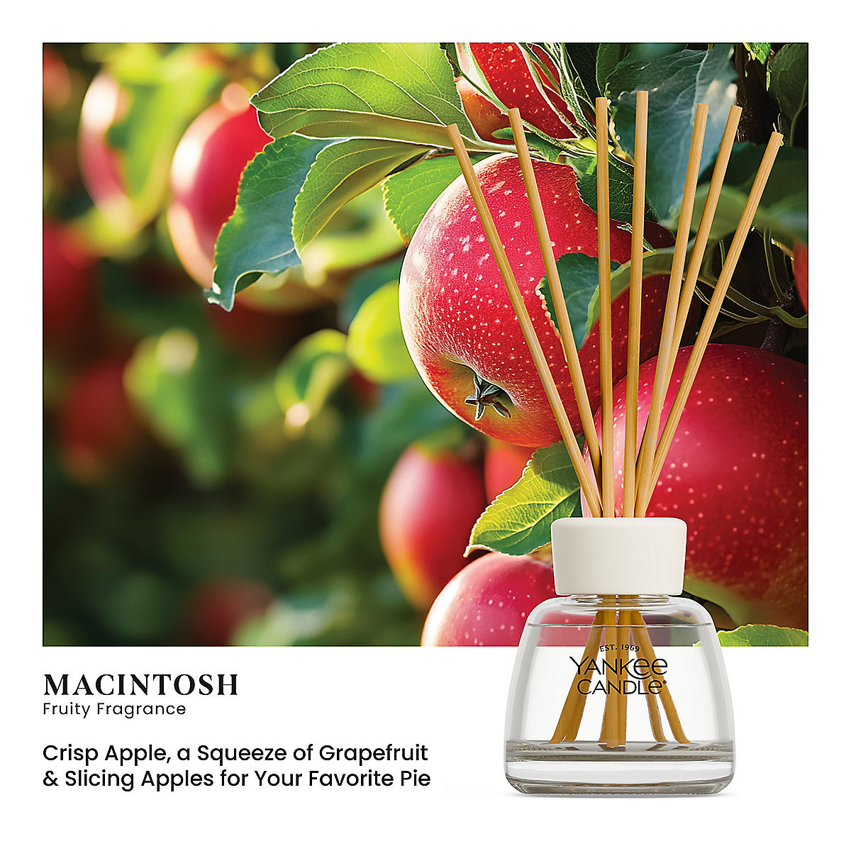 Macintosh Reed Diffuser Kit - US 43246
