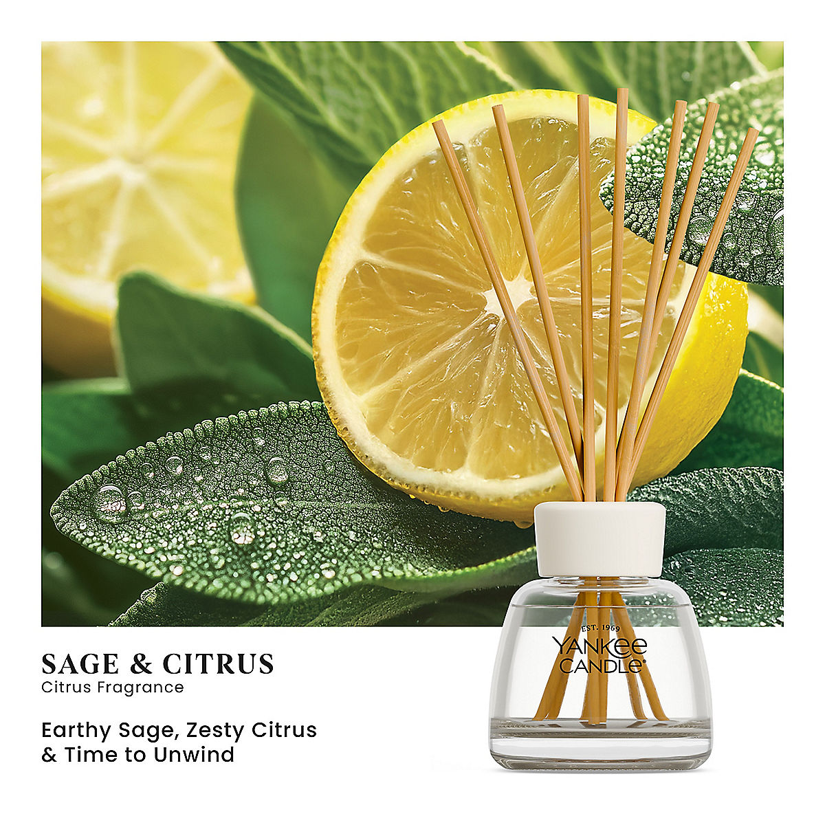 Sage & Citrus Reed Diffuser Kit - US 61950