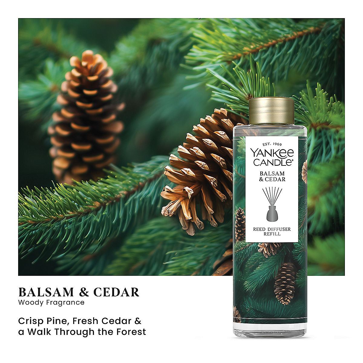 Balsam & Cedar Reed Diffuser Refill - US 51945