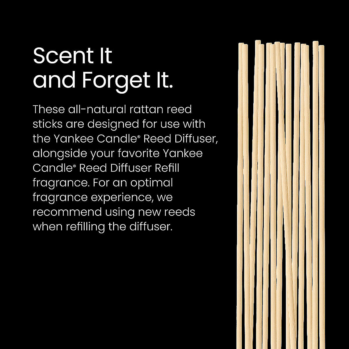 Reed Diffuser Sticks - US 38814
