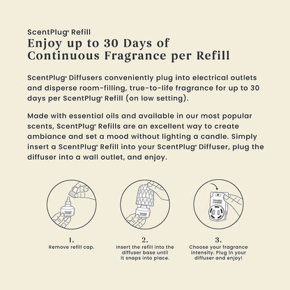 Coconut Rattan ScentPlug® Refill - US 73925