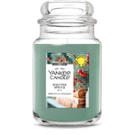 Scripted Spruce Original Large Jar Candle - US 96205