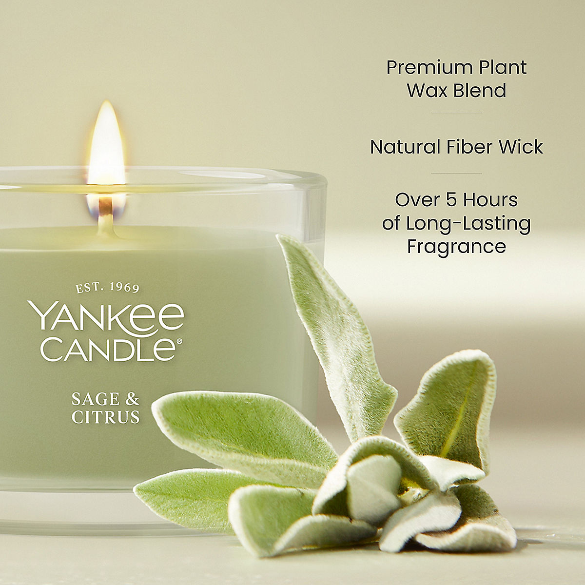 Sage & Citrus Mini Candle - US 81907