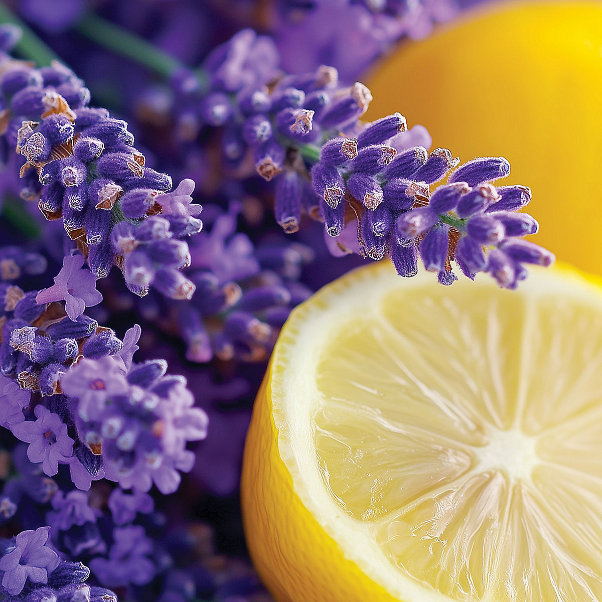 Lemon Lavender Mini Candle - US 87785