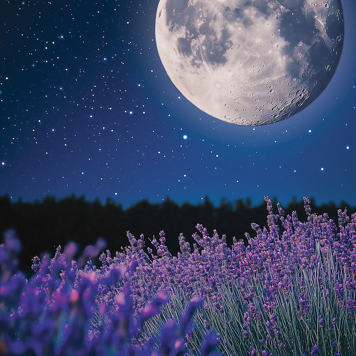 MidSummer's Night® Mini Candle - US 73729