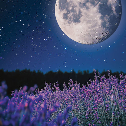 MidSummer's Night® Mini Candle - US 73729