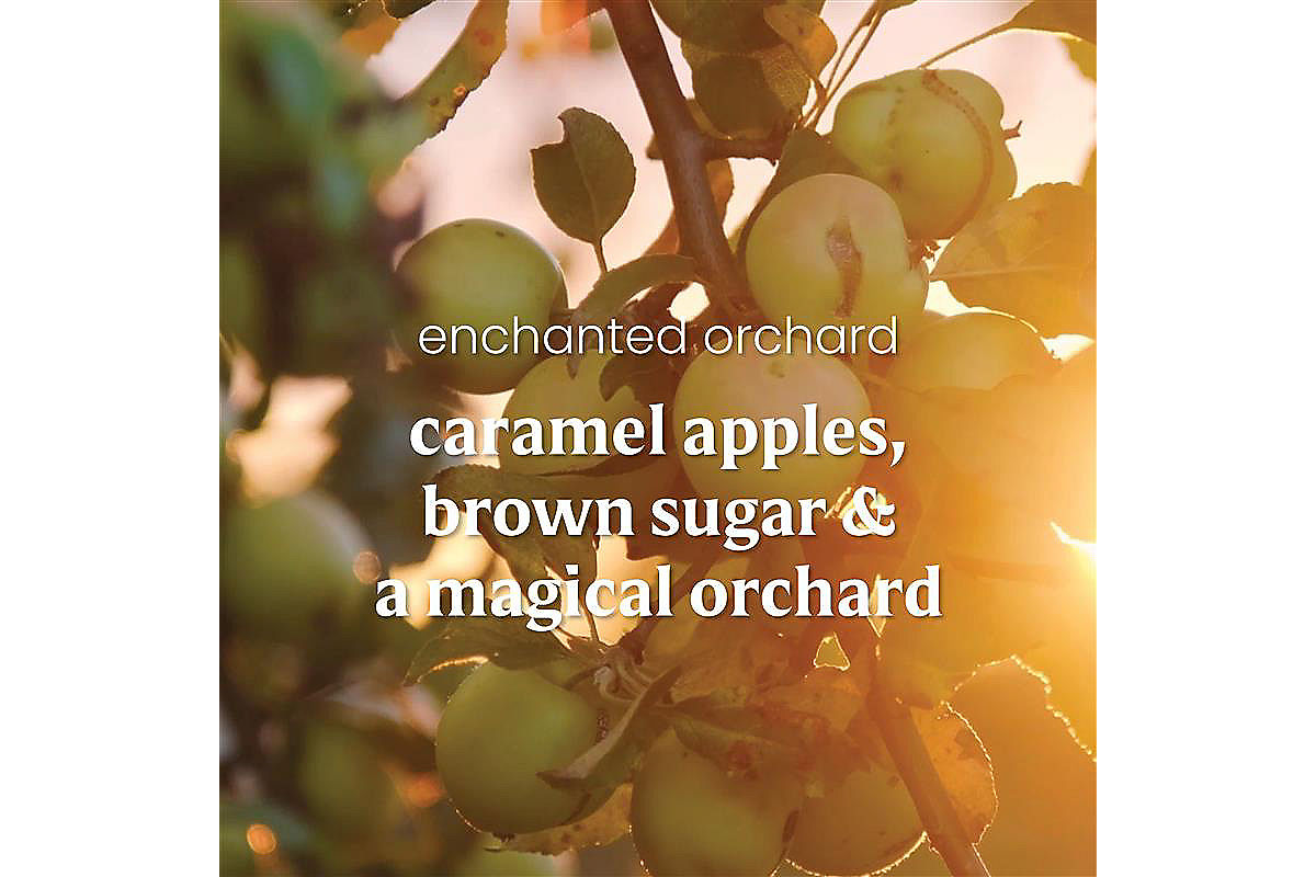 Enchanted Orchard - US 67767