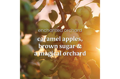 Enchanted Orchard - US 67767