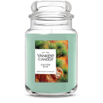 Canyon Pine Original Large Jar Candle - US 26657