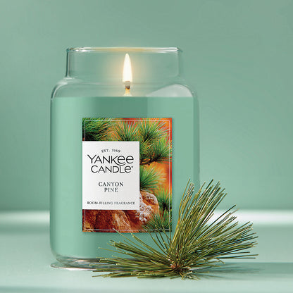 Canyon Pine Original Large Jar Candle - US 26657