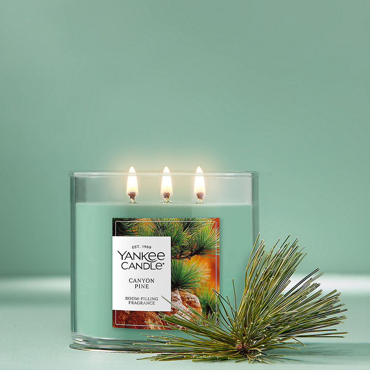 Canyon Pine 3-Wick Candle - US 24222