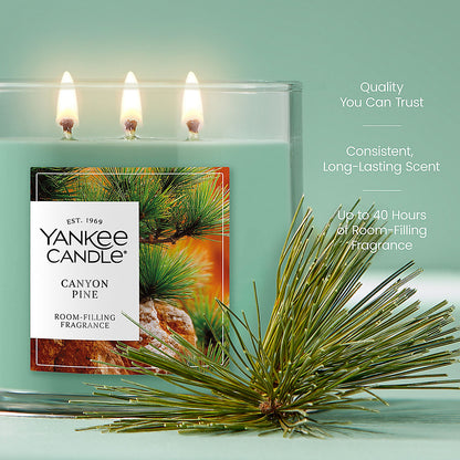 Canyon Pine 3-Wick Candle - US 24222