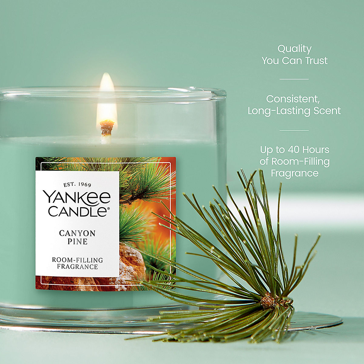 Canyon Pine Small Tumbler Candle - US 65784