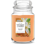 Sugared Neroli Original Large Jar Candle - US 54617