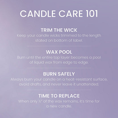Amethyst Air Original Large Jar Candle - US 58807