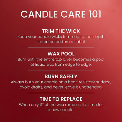 Tropical Dragonfruit 3-Wick Candle - US 25674