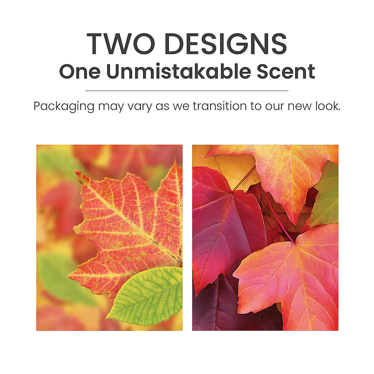 Autumn Leaves® Concentrated Room Spray - US 59476