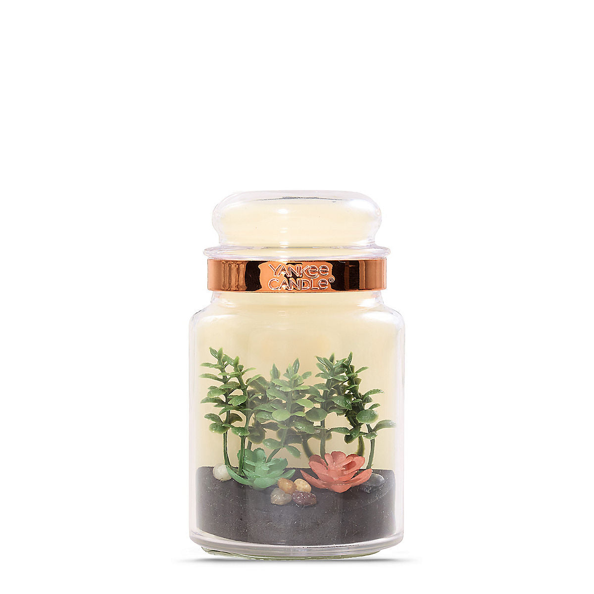 Apothecary Jar Terrarium ScentPlug® Diffuser - US 90103