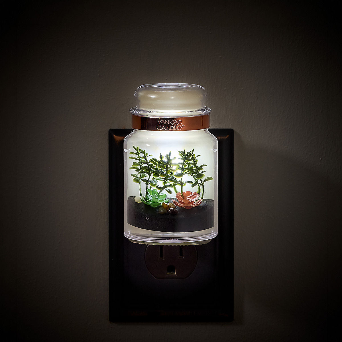 Apothecary Jar Terrarium ScentPlug® Diffuser - US 90103