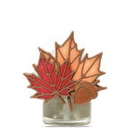 Acorn Leaves ScentPlug® Diffuser with Light - US 11915
