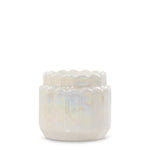 Lustra Shell Tea Light Candle Holder - US 36423