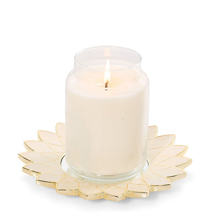 Lustra Shell Candle Tray - US 11315