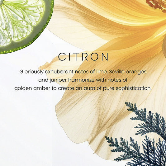 Citron Premium Single-Wick 7oz Candle - US 19732